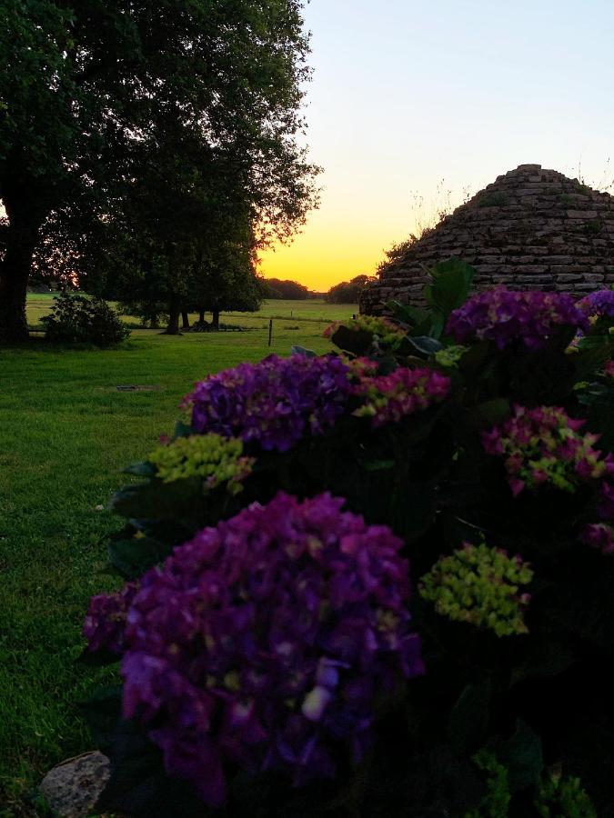 Au Coeur De La Nature Allaire Exteriér fotografie